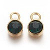Ion Plating(IP) Glass Rhinestone Charms STAS-F189-B03-1