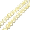 Transparent Glass Beads Strand GLAA-F112-01D-2