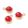 Natural Carnelian Charms G-K325-01G-05-1