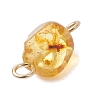 Natural Amber Connector Charms PALLOY-JF05158-5