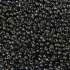 MIYUKI Round Rocailles Beads SEED-JP0009-RR2447-3