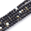 Natural Black Lip Shell Bead Strands X-SSHEL-Q298-02-1