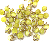 Cat Eye Charms FIND-SZC0010-610-1