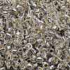 TOHO 3/0 Round Beads SEED-TR03-0021-3