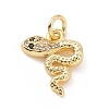 Brass Micro Pave Cubic Zirconia Charms KK-C012-16G-1
