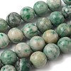 Natural Green Spot Jasper Beads Strands G-F818-A05-14mm-2