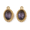 Ion Plating(IP) 304 Stainless Steel Micro Pave Cubic Zirconia Charms X-STAS-K256-19G-2