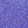 TOHO 15/0 Round Beads X-SEED-TR15-0168-2