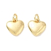 Brass Pendants KK-E797-07A-G-1