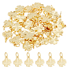 40Pcs Brass Charms KK-DC0003-78-1