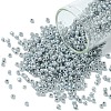 12/0 Glass Seed Beads SEED-US0003-2mm-149-1