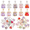 30Pcs 2 Colors Glass Pendants PALLOY-PH01718-1
