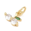 Brass Micro Pave Cubic Zirconia Charms LS-KK-H525-03B-G-2