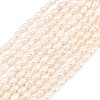 Natural Cultured Freshwater Pearl Beads Strands PEAR-D003-01D-04-2