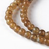 Natural Labradorite Beads Strands G-G813-02-3