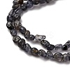 Natural Iolite/Cordierite/Dichroite Beads Strands G-I389-A34-01A-4