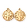 304 Stainless Steel Charms LS-STAS-G071-15G-1