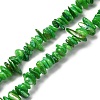 Natural Freshwater Shell Beads Strands BSHE-I016-01D-1