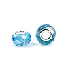 Transparent Glass European Beads GPDL-N004-D14mm-A09-2