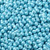 Glass Seed Beads SEED-L011-04A-11-3