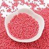 Baking Paint Glass Seed Beads X-SEED-S042-05B-87-2