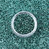 FGB 11/0 Grade A Glass Seed Beads X-SEED-S030-1216-3