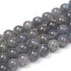 Natural Labradorite Beads Strands G-G829-05-8mm-1