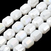 Electroplate Opaque Column Glass Beads Strands EGLA-A043-02-AB03-1