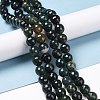 Natural Moss Agate Beads Strands G-E571-21C-2