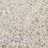 TOHO 8/0 Round Beads X-SEED-TR08-0021-2