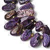 Natural Charoite Beads Strands G-P604-A29-01-4