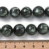 Natural Seraphinite Beads Strands G-C270-O01-13-5