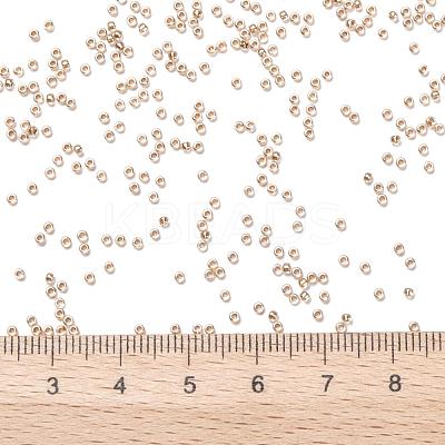 TOHO Round Seed Beads SEED-JPTR15-0989-1