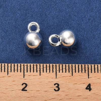 Alloy Charms PALLOY-A006-07S-1