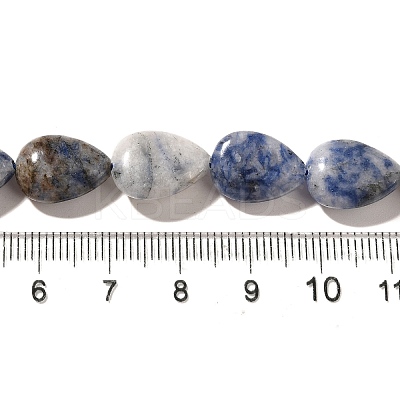 Natural Blue Spot Jasper Beads Strands G-I377-A12-1