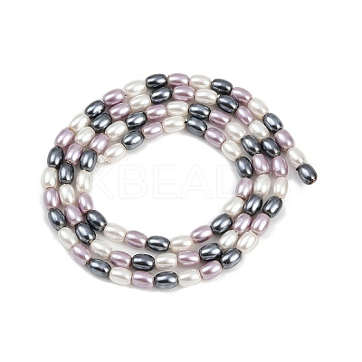 Electroplated Shell Pearl Beads Strands BSHE-H113-06B-04-1