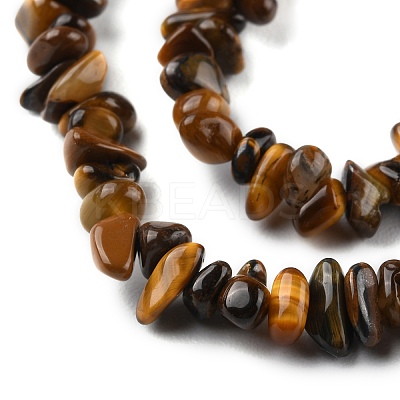 Natural Tiger Eye Beads Strands G-G0003-B22-1