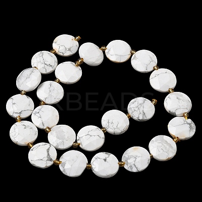 Natural Howlite Beads Strands G-A292-A03-01-1