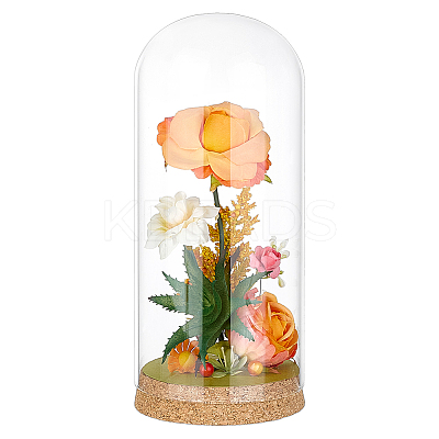 1Pc Glass Dome Cover AJEW-BC0009-61-1