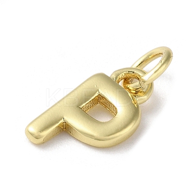 Rack Plating Brass Charms KK-P245-06G-P-1