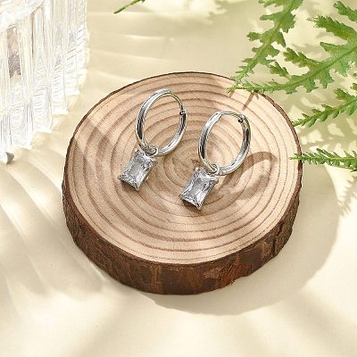 304 Stainless Steel Micro Pave Cubic Zirconia Hoop Earrings STAS-R004-06P-02-1