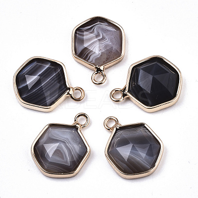 Natural Botswana Agate Charms G-N326-47A-1