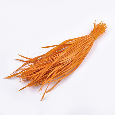 Goose Feather Costume Accessories FIND-T037-09H-1