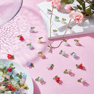100Pcs 10 Colors Acrylic Charms PALLOY-HY00046-1