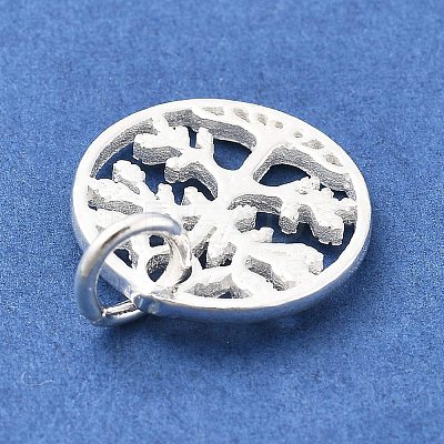 925 Sterling Silver Charms STER-S009-01C-S-1