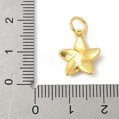 Brass Charms LS-KK-Z107-05G-02-1