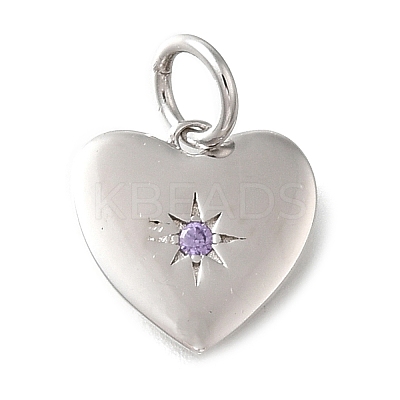 925 Sterling Silver Micro Pave Clear Cubic Zirconia Charms STER-V001-01P-06-1