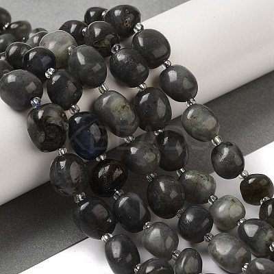 Natural Larvikite Beads Strands G-Q169-E05-01-1