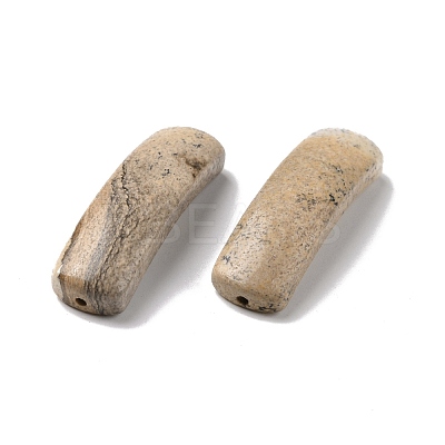 Natural Picture Jasper Connector Charms G-D460-02A-1
