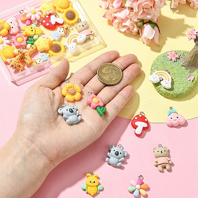 30Pcs 15 Styles Opaque Resin Pendants RESI-YW0003-30-1